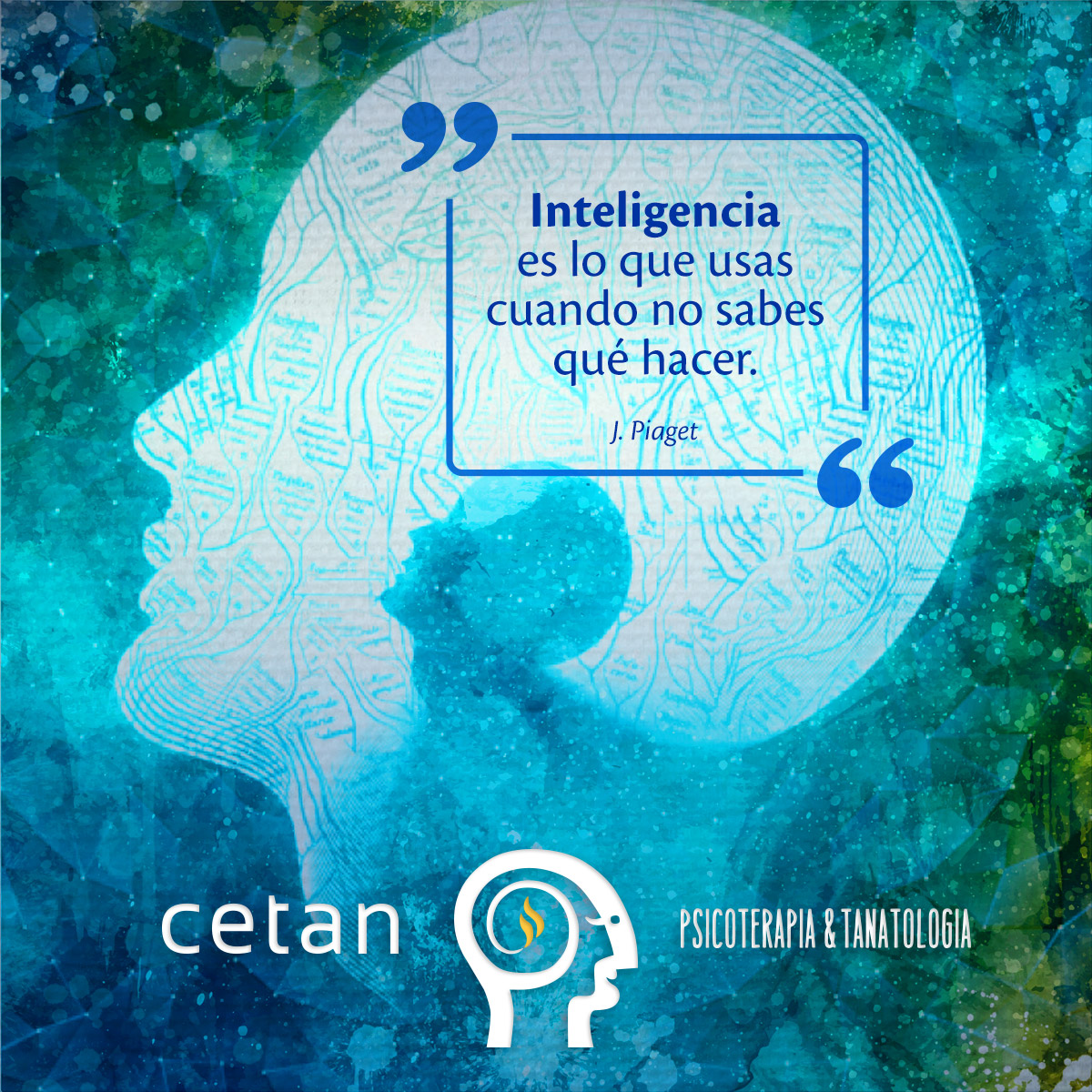 02-Inteligencia
